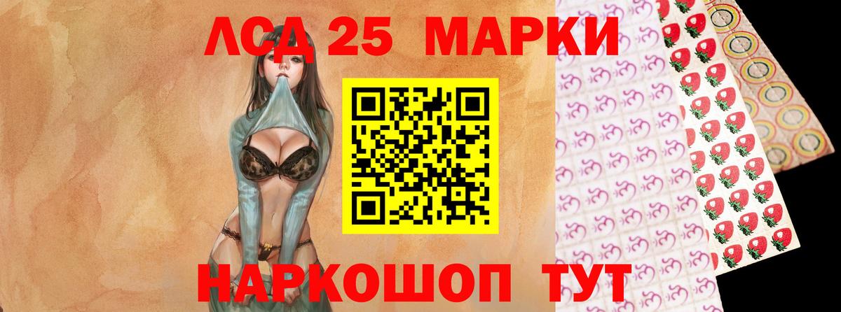 Псилоцибиновые грибы Лесозаводск