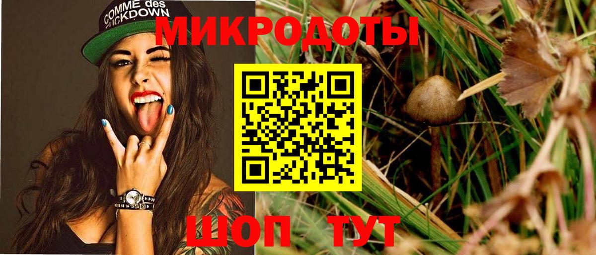 Галлюциногенные грибы Magic Shrooms Лесозаводск