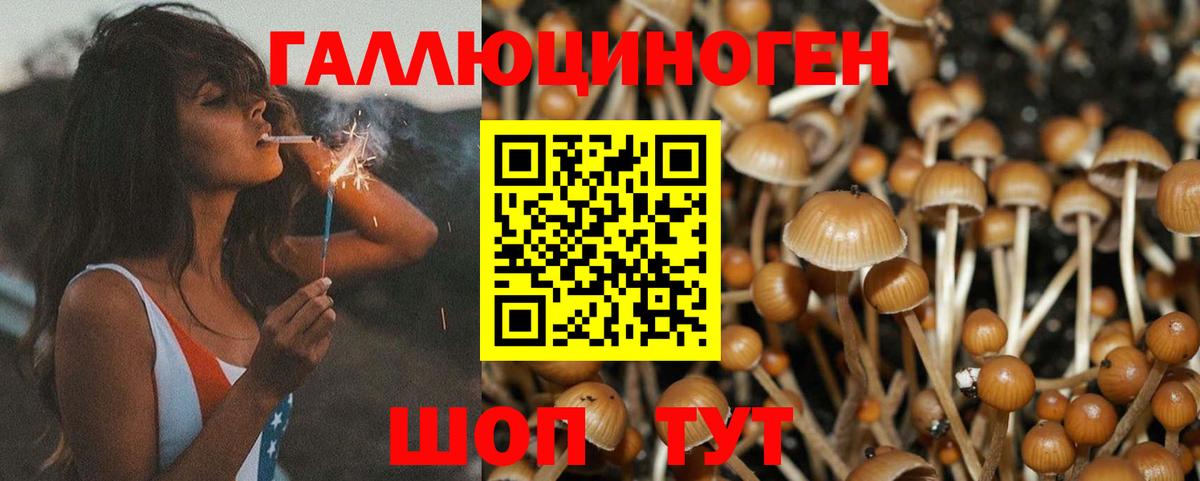 Лесозаводск  Псилоцибиновые грибы мицелий  Вход с VPN  Галлюциногенные грибы MAGIC MUSHROOMS 